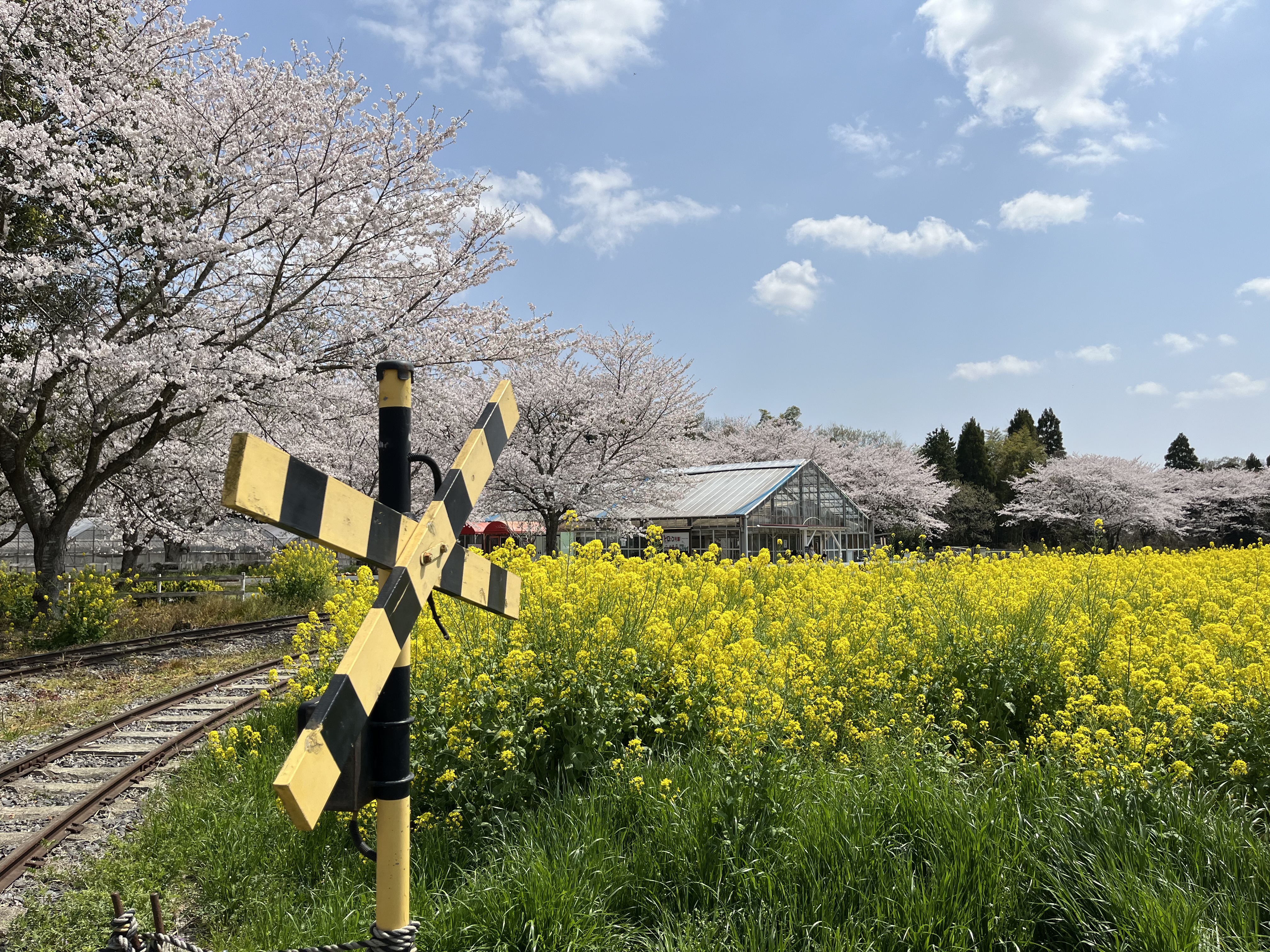 NRT_07