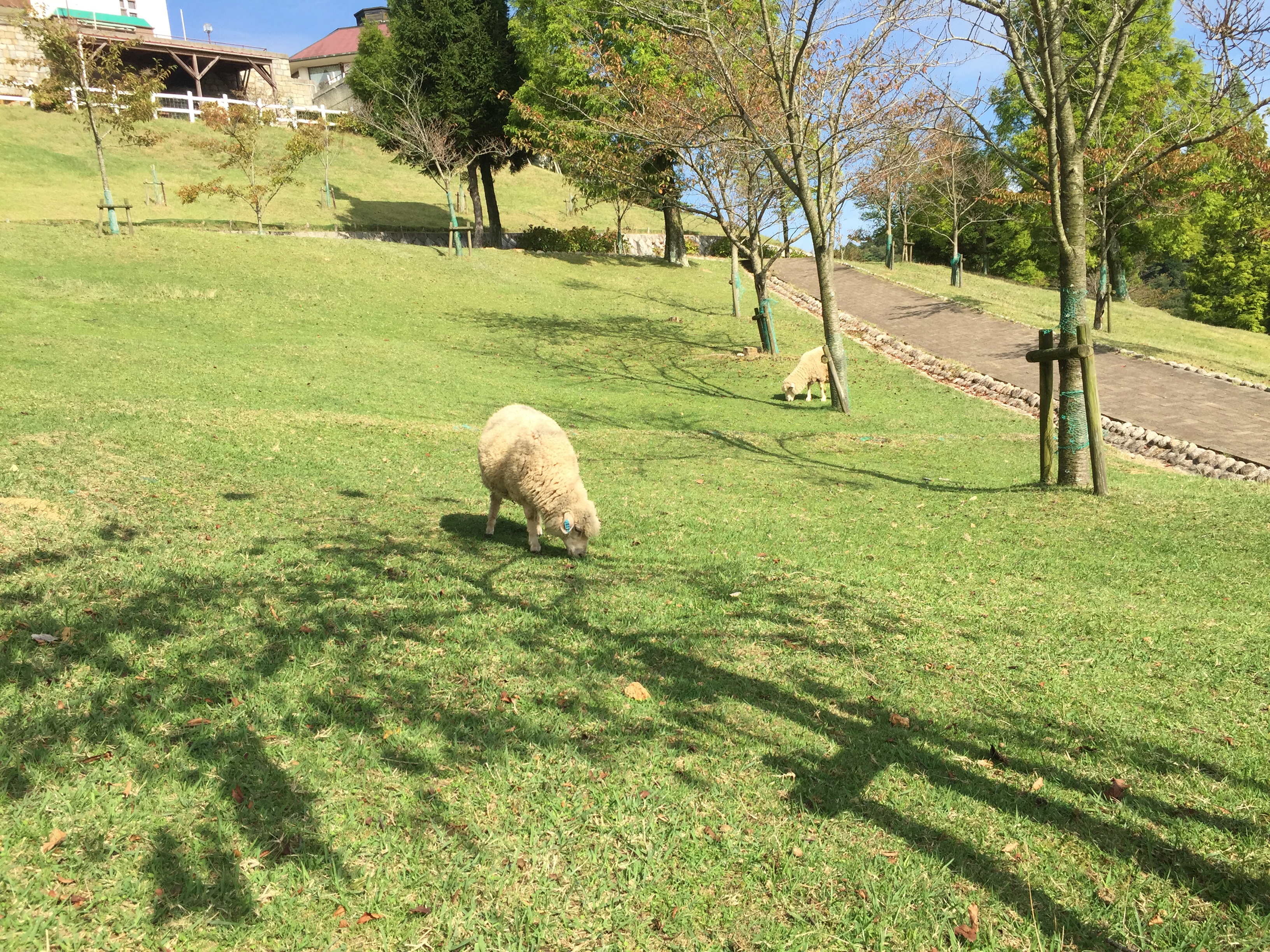 Rokko_04