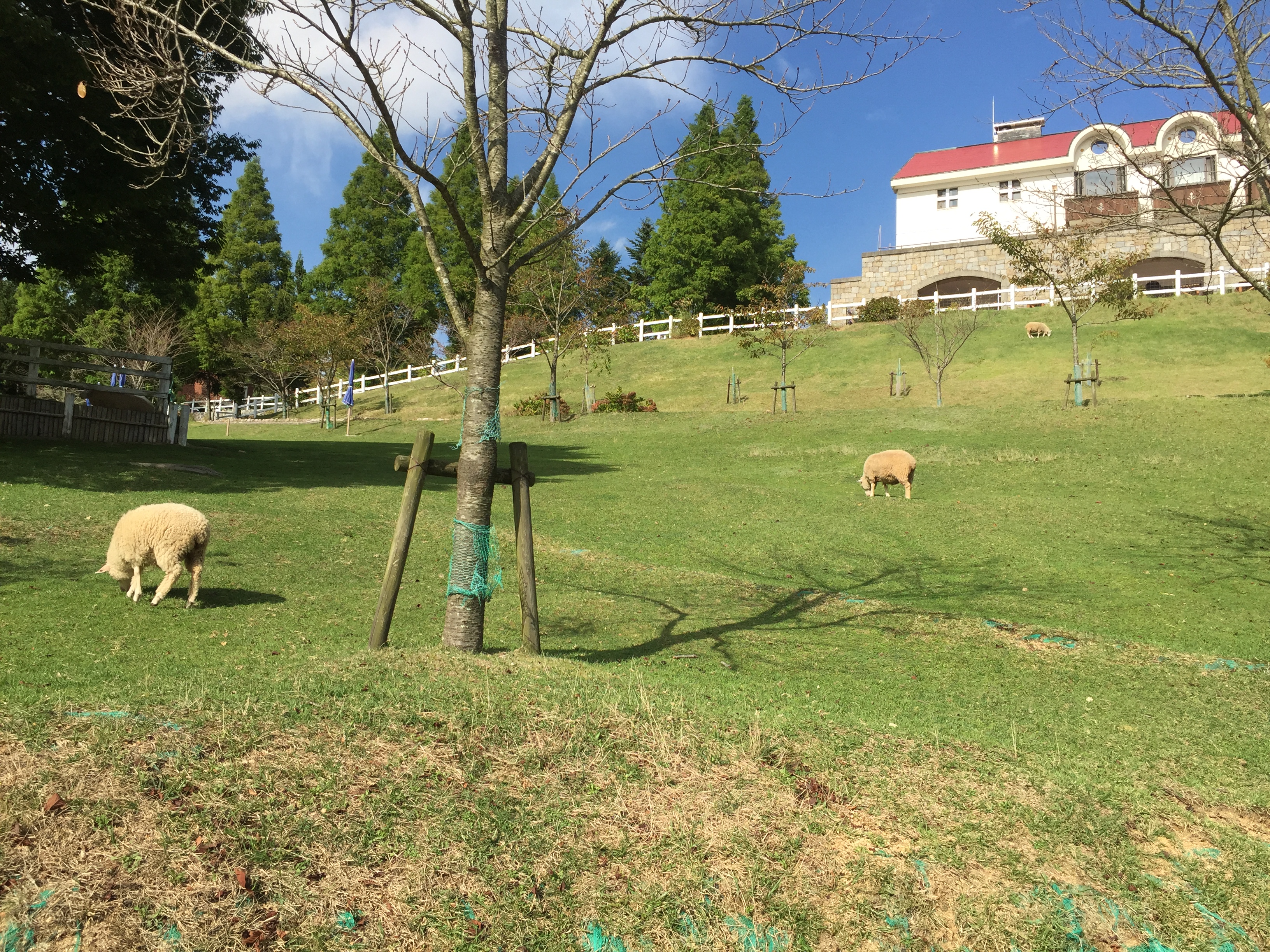 Rokko_05